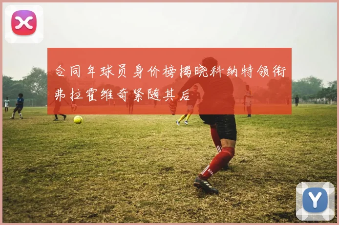 合同年球员身价榜揭晓科纳特领衔弗拉霍维奇紧随其后