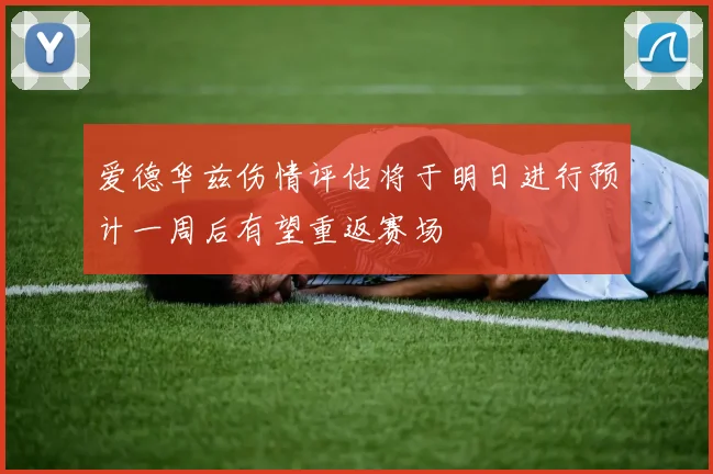 爱德华兹伤情评估将于明日进行预计一周后有望重返赛场